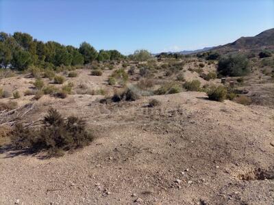 Terrain rustique dans Huercal-Overa, Almería