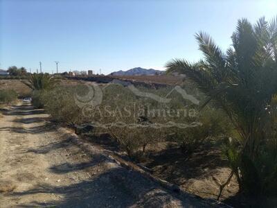 Rustikales Grundstück In Huercal-Overa, Almería