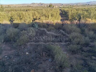 Rural land in Huercal-Overa, Almería