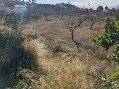 Rural land in Las Piedras, Huercal-Overa, Almería