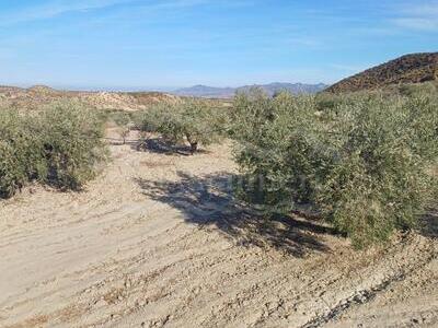 Terrain rustique dans Zurgena, Almería