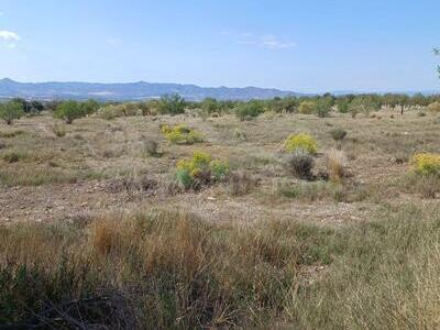 Rural land in Huercal-Overa, Almería