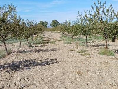 Rustiek perceel in Huercal-Overa, Almería