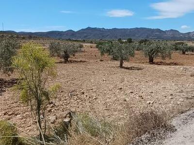 Terrain rustique dans El Saltador, Almería