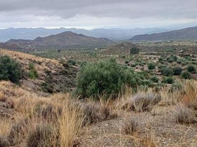 Rural land in Urcal, Huercal-Overa, Almería