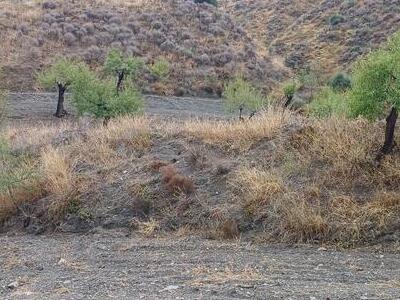 Rural land in Los Pardos, Taberno, Almería