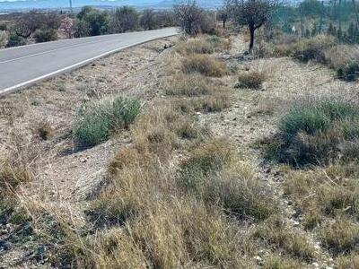 Rural land in Urcal, Almería