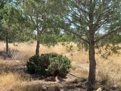 Rural land in Rambla Grande, Huercal-Overa, Almería