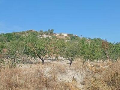 Landgoed in Puerto Lumbreras, Murcia