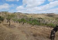 R01538: Cortijo for Sale in Velez-Rubio, Almería