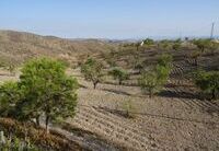 R01798: Lagerhaus zu verkaufen In Las Piedras, Almería
