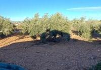 R01932: Cortijo zu verkaufen In El Saltador, Almería