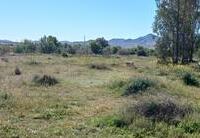 R01939: Cortijo en venta en Los Pedregales, Almería