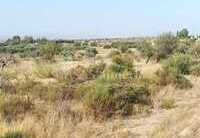 R02213: Rustiek perceel Te koop in Huercal-Overa, Almería