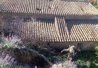 R02218: Cortijo for Sale in El Puertecico, Almería