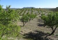 R02261: Huis Te koop in Albox, Almería