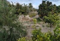 R02278: House for Sale in Taberno, Almería