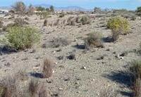 R22118: Parcela Rústica en venta en Rambla Grande, Almería