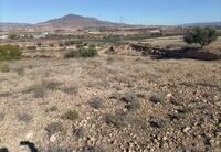 R22201: Rural land for Sale in Huercal-Overa, Almería