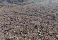 R22201: Rural land for Sale in Huercal-Overa, Almería
