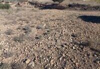 R22201: Rural land for Sale in Huercal-Overa, Almería