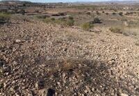 R22201: Rural land for Sale in Huercal-Overa, Almería