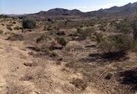 R22202: Rural land for Sale in Huercal-Overa, Almería