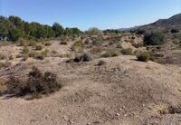 R22202: Rural land for Sale in Huercal-Overa, Almería