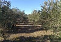 R22204: Rural land for Sale in Huercal-Overa, Almería