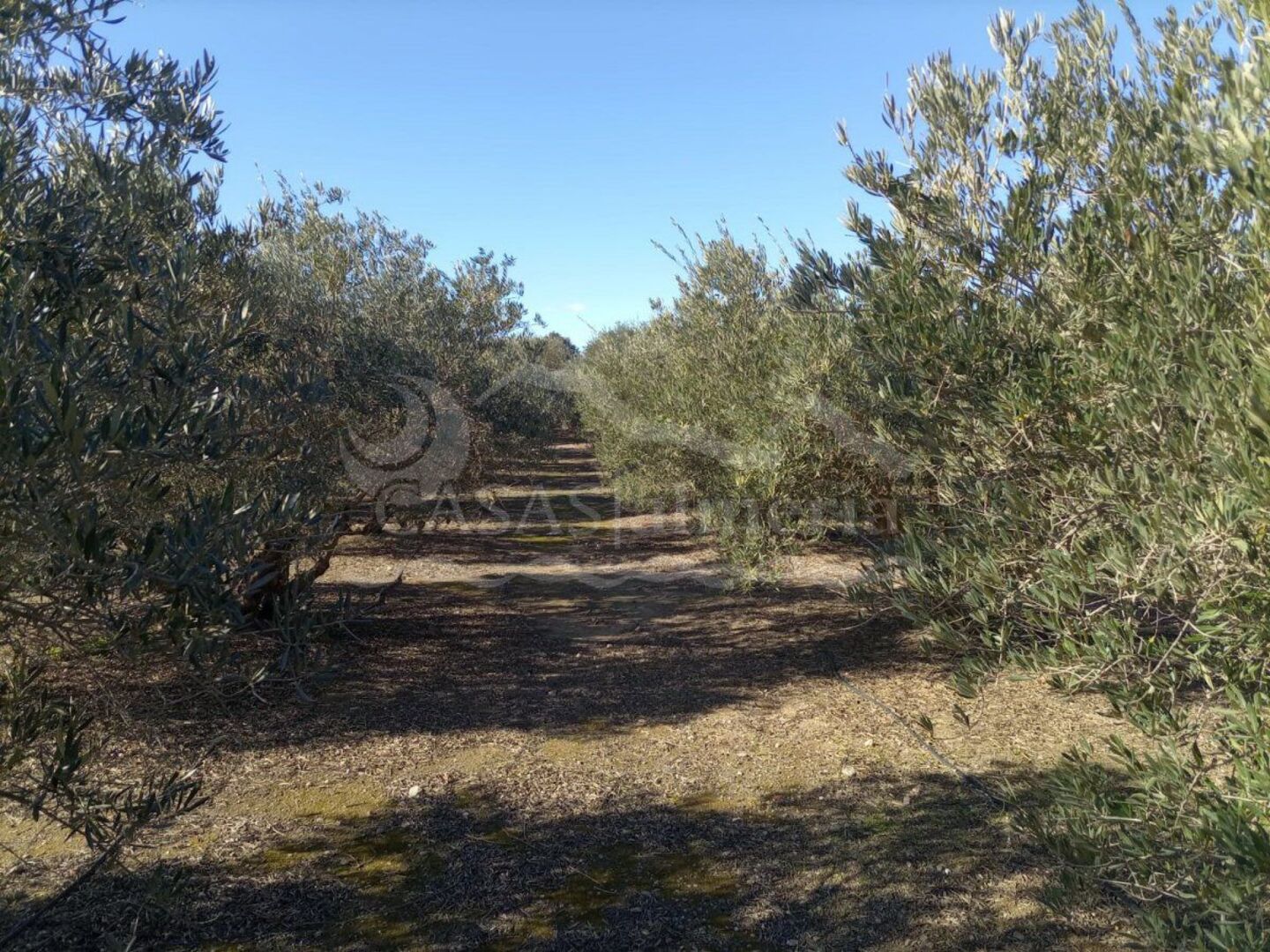 R22204: Rural land for Sale in Huercal-Overa, Almería