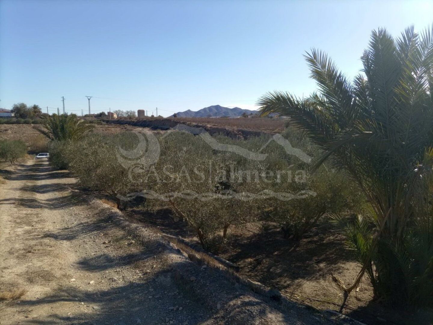 R22204: Rural land for Sale in Huercal-Overa, Almería