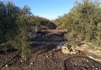 R22209: Rural land for Sale in Huercal-Overa, Almería