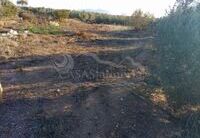 R22209: Rural land for Sale in Huercal-Overa, Almería