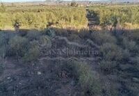 R22209: Rural land for Sale in Huercal-Overa, Almería