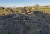 R22209: Rural land for Sale in Huercal-Overa, Almería