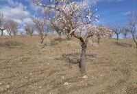 R22210: Cortijo zu verkaufen In Velez-Rubio, Almería