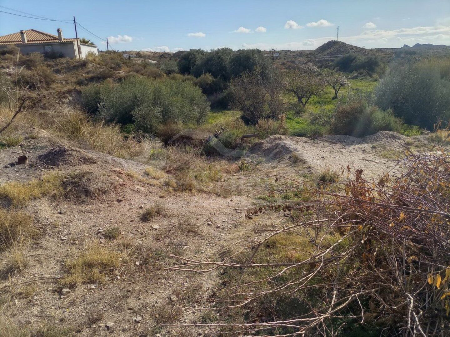 R22215: Rural land for Sale in Huercal-Overa, Almería