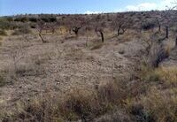 R22216: Rural land for Sale in Huercal-Overa, Almería