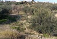 R22216: Rural land for Sale in Huercal-Overa, Almería