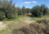 R22216: Rural land for Sale in Huercal-Overa, Almería
