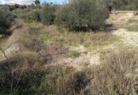 R22216: Rural land for Sale in Huercal-Overa, Almería