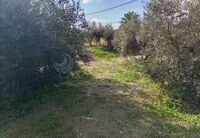 R22216: Rural land for Sale in Huercal-Overa, Almería