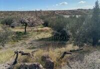 R22216: Rural land for Sale in Huercal-Overa, Almería