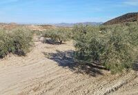 R22225: Rural land for Sale in Zurgena, Almería