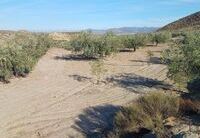 R22225: Rural land for Sale in Zurgena, Almería