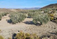 R22225: Rural land for Sale in Zurgena, Almería
