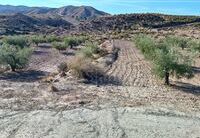 R22225: Rural land for Sale in Zurgena, Almería