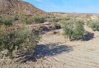 R22225: Rural land for Sale in Zurgena, Almería