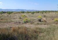 R22231: Rural land for Sale in Huercal-Overa, Almería