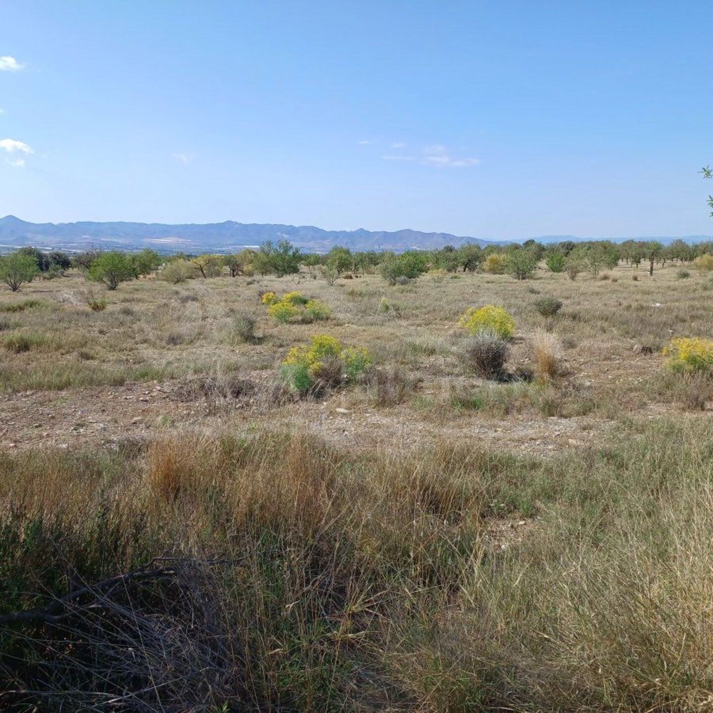 R22231: Rural land for Sale in Huercal-Overa, Almería